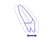 TrioDim Force – Torque control