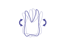 TrioDim Force – Torque control